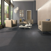 Long Valley Tile Professional Wall Ground Tile Makeup Room Living-room Balcony Tiles Modern Minima High-end 12602