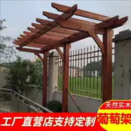 单边葡萄花架 新人首单立减十元 21年8月 淘宝海外
