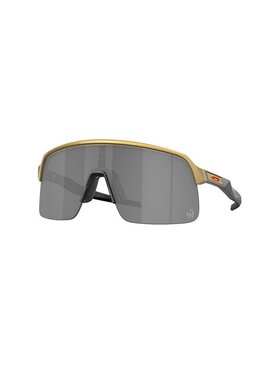 Oakley欧克利男士太阳镜
