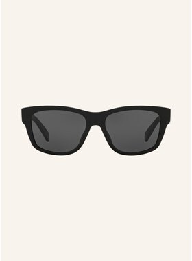 1h可退 CELINE 女士太阳镜 100152183613000 CO 花色 Sunglasses