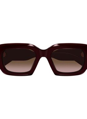 1h可退 CHLOÉ 女士眼镜 CH0256S004 SS2026 棕色 全框太阳镜