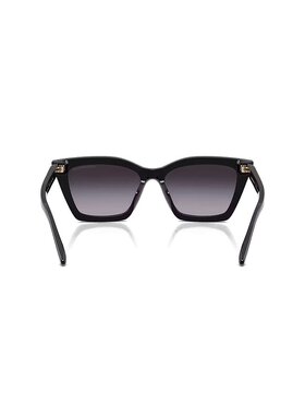 EMPORIO ARMANI 女士太阳镜 0EA4250U50178G54 AW2025