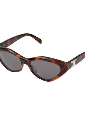 CELINE 男士眼镜 CL40323U53A AW2025 灰色太阳镜