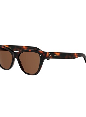 CELINE 男士眼镜 CL40359I52E AW2026 棕色 全框太阳镜