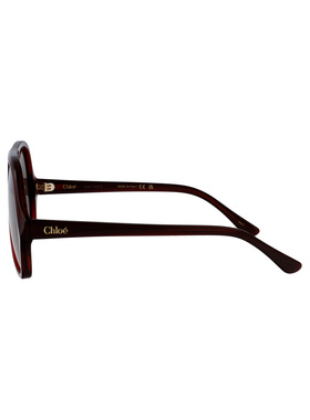 1h可退 CHLOÉ 女士太阳镜 CH0289S002 SS2025 棕色 全框太阳镜