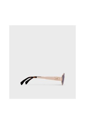 CELINE 女士眼镜 4S254CMLB35RS CO 灰色 全框太阳镜