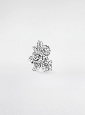 CHRISTIAN DIOR 女士戒指 JBAG940850000 CO 银色 R支付后1h可退
