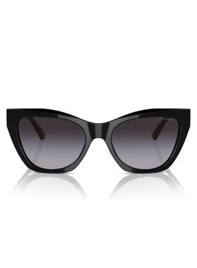 EMPORIO ARMANI 女士太阳镜 EA417650178G AW2025