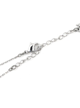 SWAROVSKI 125周年限定 DANCING SWAN 闪耀跃动天鹅项链 5533397