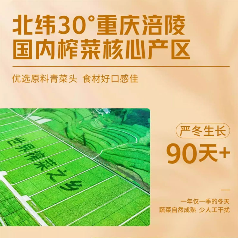 乌江涪陵榨菜官方红油榨菜80g麻辣味佐餐开味下饭菜咸菜 - 图3