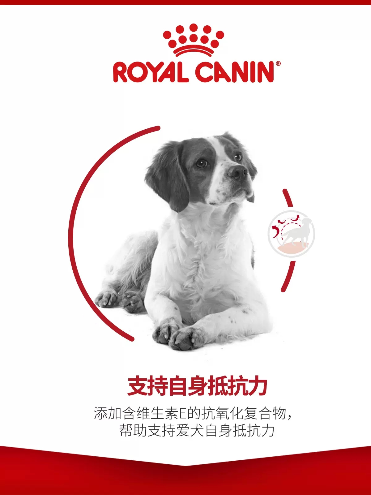 皇家狗粮M25中型成犬粮4/15KG金毛罗威纳萨摩耶边牧柯基通用犬粮