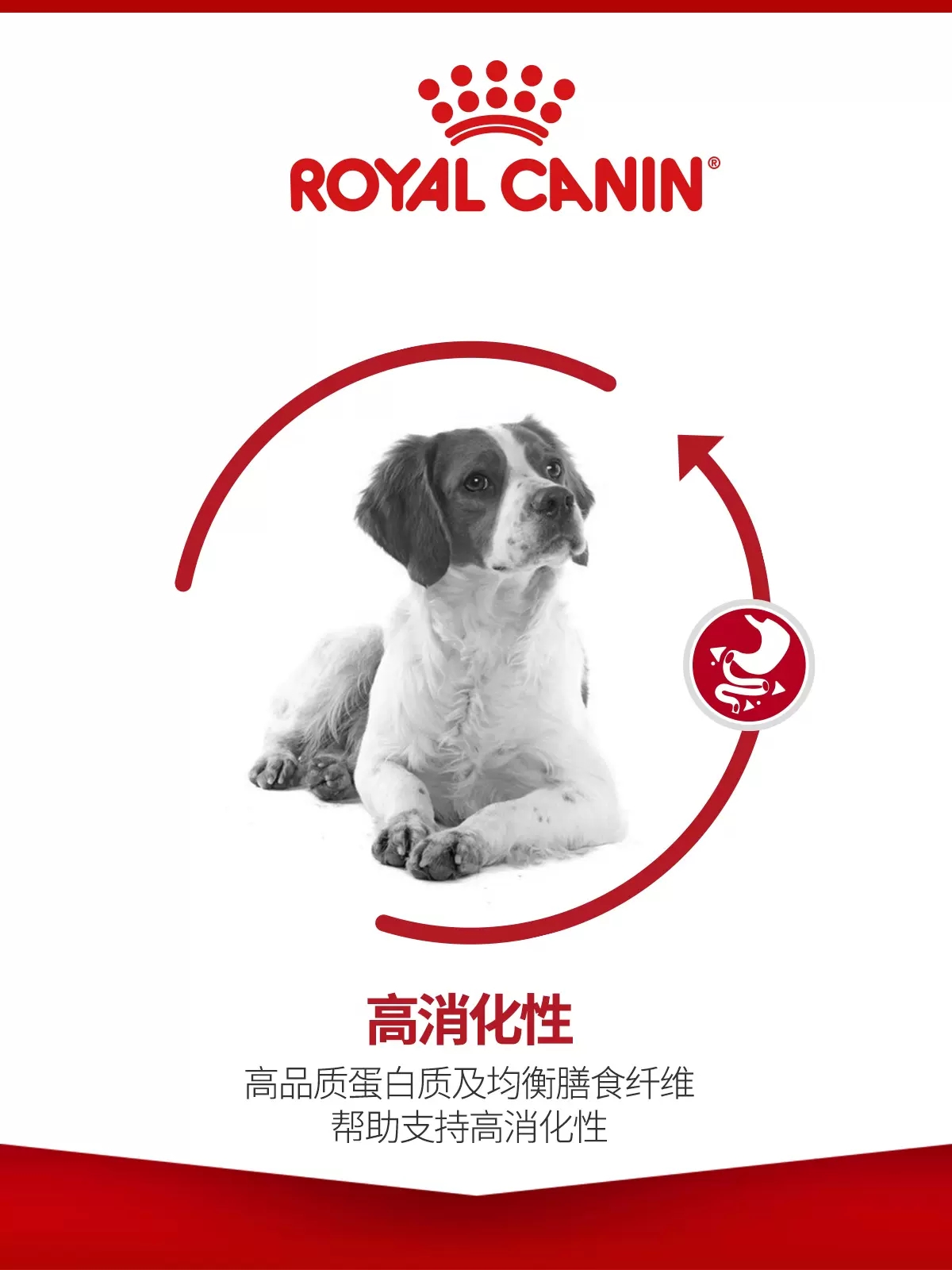皇家狗粮M25中型成犬粮4/15KG金毛罗威纳萨摩耶边牧柯基通用犬粮