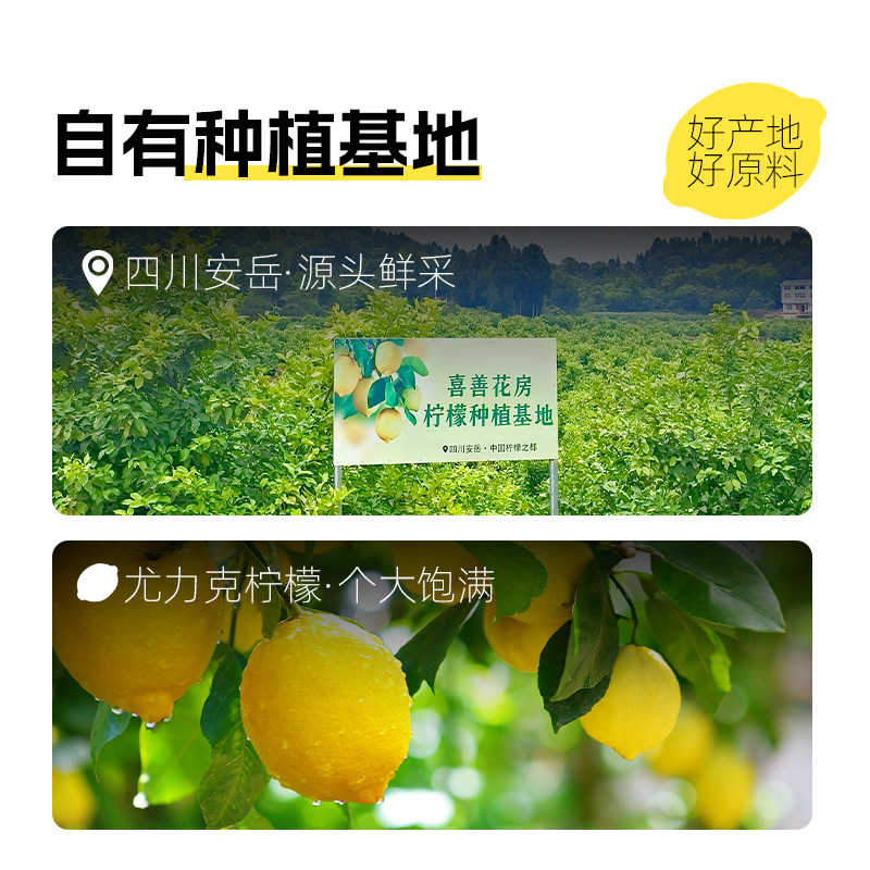 喜善花房柠檬片冻干柠檬片泡水喝七日柠檬片无加糖无蜂蜜水果茶饮,淘宝优惠券,粉丝福利购,淘宝优惠卷
