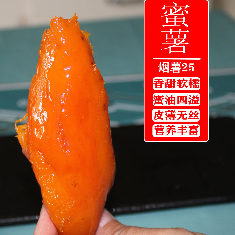 山东蜜薯烟薯25号糖心超甜香山芋 果靖番薯