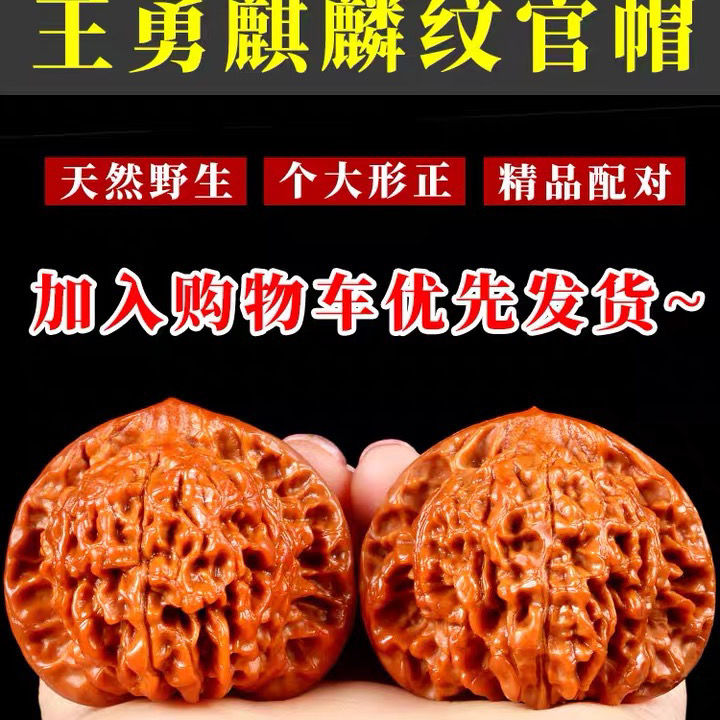 新款文玩核桃手玩48-50mm王勇官帽特大男士盘玩手把件核桃把玩麒 - 图1