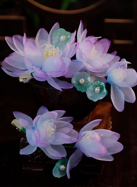 古风绢纱花朵对夹手工