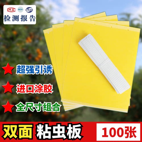 双面黄蓝粘虫板果园大棚黏虫板沾虫果蝇粉虱蓟马灭小飞虫整箱诱虫 - 图0
