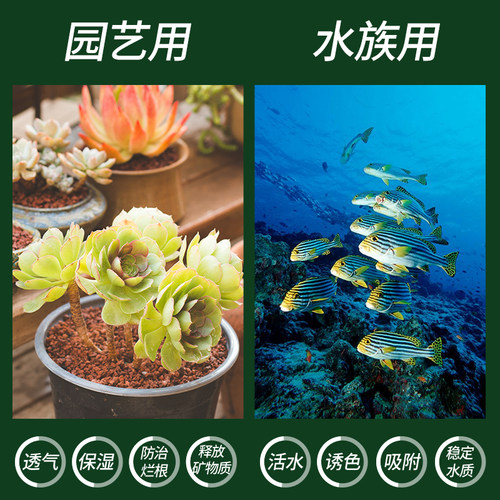 火山石颗粒养花兰花专用养鱼造景兰花多肉铺面石透气鱼缸火山岩 - 图1