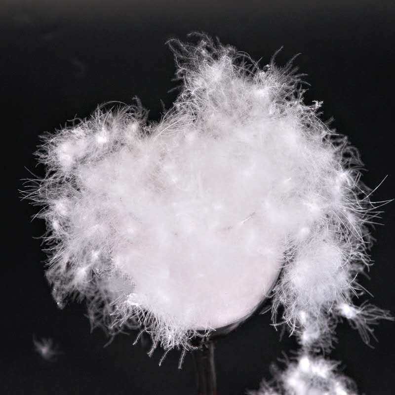 散装98白鸭绒精洗无菌羽绒服羽绒被原料填充（单件50g,可多拍）,淘宝优惠券,粉丝福利购,淘宝优惠卷