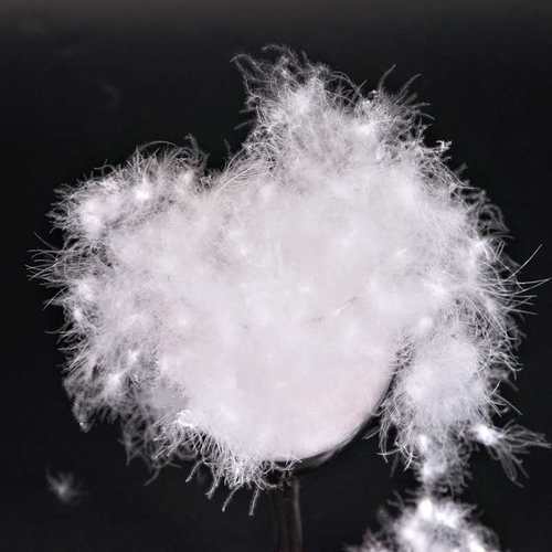 散装98白鸭绒精洗无菌羽绒服羽绒被原料填充(单件50克，可多拍) - 图0