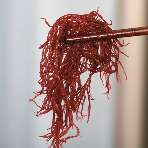 紫色龙须菜新鲜盐渍色红凤菜海草食材凉拌菜龙须菜 - 图0