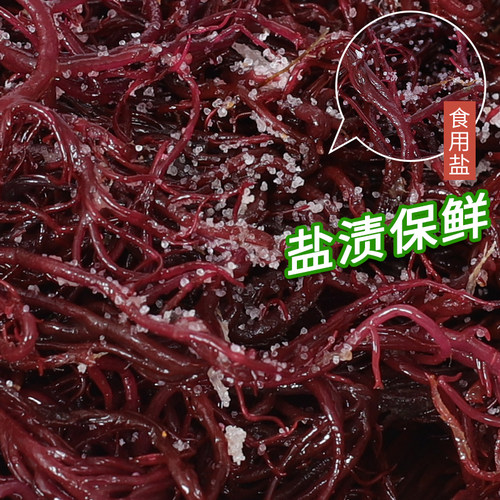 紫色龙须菜新鲜盐渍色红凤菜海草食材凉拌菜龙须菜 - 图2