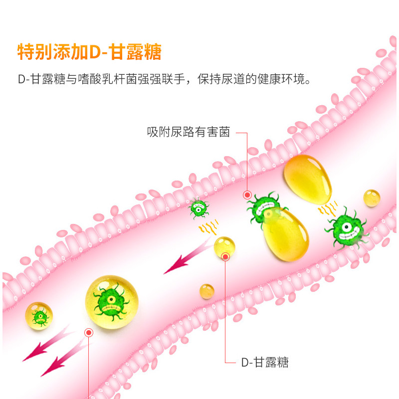 3瓶装泌尿尿路健康蔓越莓胶囊d zahler海外蔓越莓