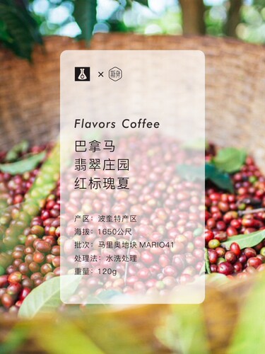 限量 | 斯奔 巴拿马翡翠庄园红标瑰夏咖啡豆礼盒装12g*10罐 - 图0