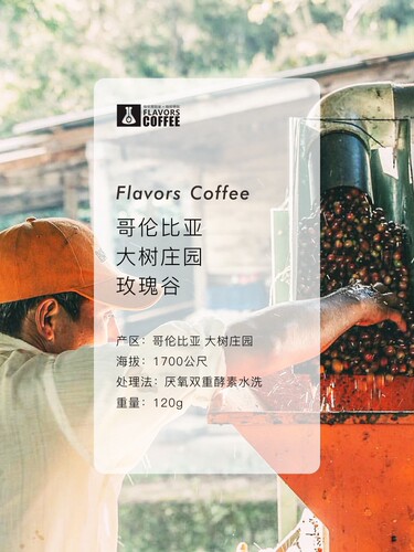 斯奔 玫瑰谷哥伦比亚大树庄园双重酵素水洗咖啡豆可磨粉 - 图0