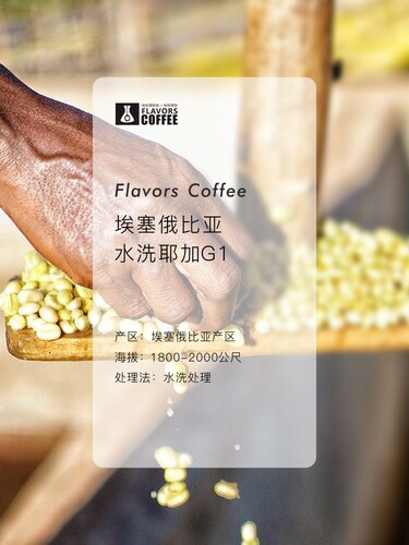 科契尔 埃塞俄比亚水洗耶加雪菲 精品手冲咖啡豆可代磨粉240g - 图0
