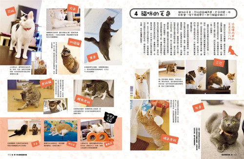 现货正版 原版进口图书 笠仓出版社《猫奴教战手册》枫书坊 - 图1
