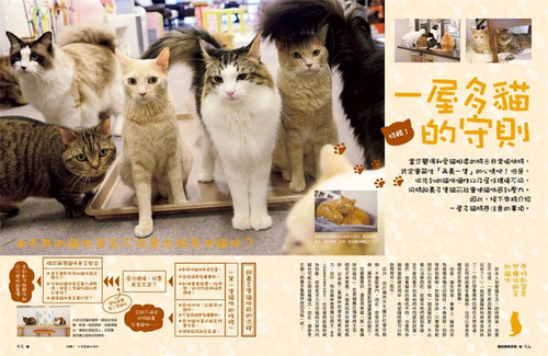 现货正版 原版进口图书 笠仓出版社《猫奴教战手册》枫书坊 - 图2