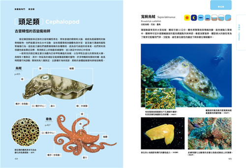 现货 海洋博物志2｜近岸珊瑚礁｜：潜进南方的缤纷碧蓝！920种热带珊瑚礁生物辨识百科 合售 22 李承录, 赵健舜 麦浩斯 进口原版 - 图3