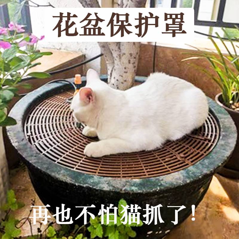 防猫花盆22年9月 月销口碑最新推荐 天猫淘宝海外