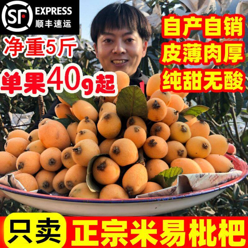 现摘攀枝花米易枇杷新鲜大果四川早钟甜琵琶水果当季5斤顺丰包邮