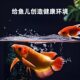 ຮູບຄົນຂອງຄອບຄົວ Liuhe ອຸປະກອນການກັ່ນຕອງນ້ໍາບໍລິສຸດທາງຊີວະເຄມີ