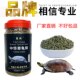 ອາຫານເຕົ່າ, ອາຫານເຕົ່າ, ອາຫານເຕົ່າຈີນ, ຄວາມສົມດຸນທາງໂພຊະນາການ