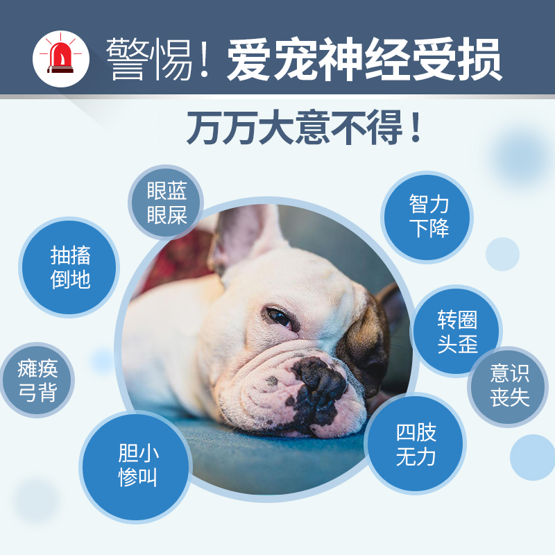 狗狗神经炎药宠物神经修复因子犬猫后腿无力腿瘸抽搐猫咪癫痫药 - 图0