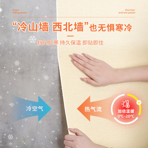 冬季保暖窗膜加厚窗户玻璃保温膜室内隔寒防冻隔冷防寒双层隔热膜 - 图1