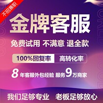 Customer service outsourcing artificial sky cat Taobao patchwork multi-shake fast hand online store pre-sales full-day hosting service