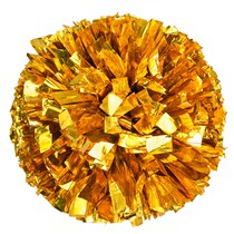 Cheerleader a cheerleader takes a pair of two elementary school students a ball square dance and a hand in hand.