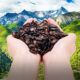 Plum flavored watermelon seeds small package roasted seeds and black melon seeds new year's nut gift box wholesale creampie flagship store