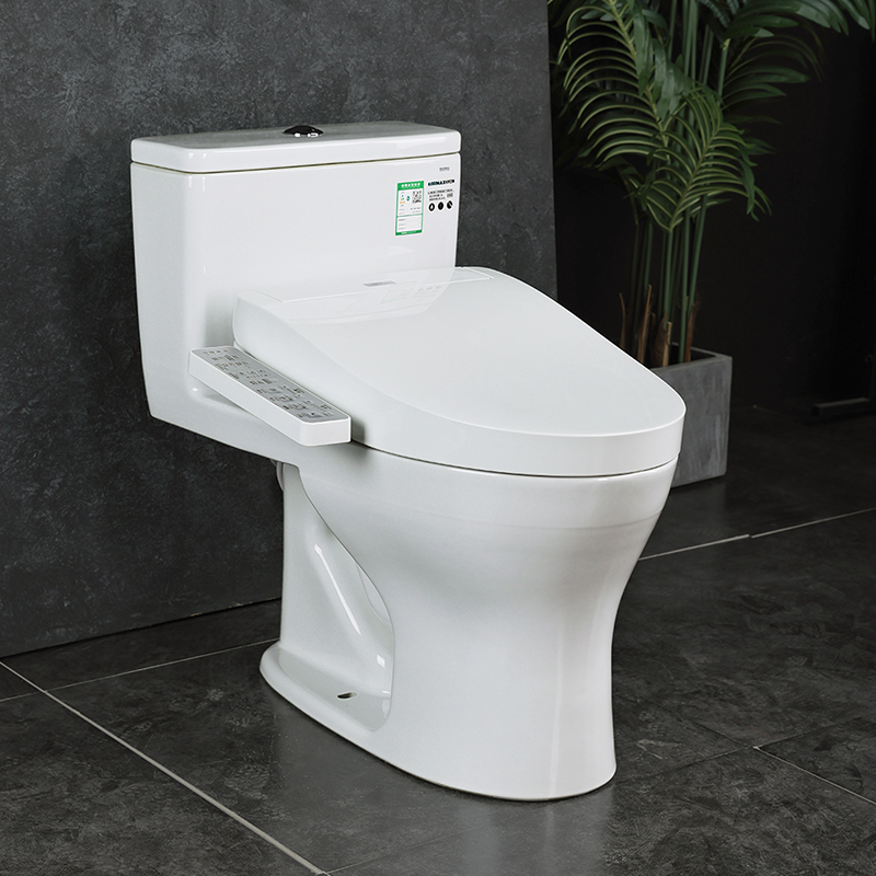TOTO智能马桶CW817REB+TCF3F260/460/960智能盖套餐 - 图0
