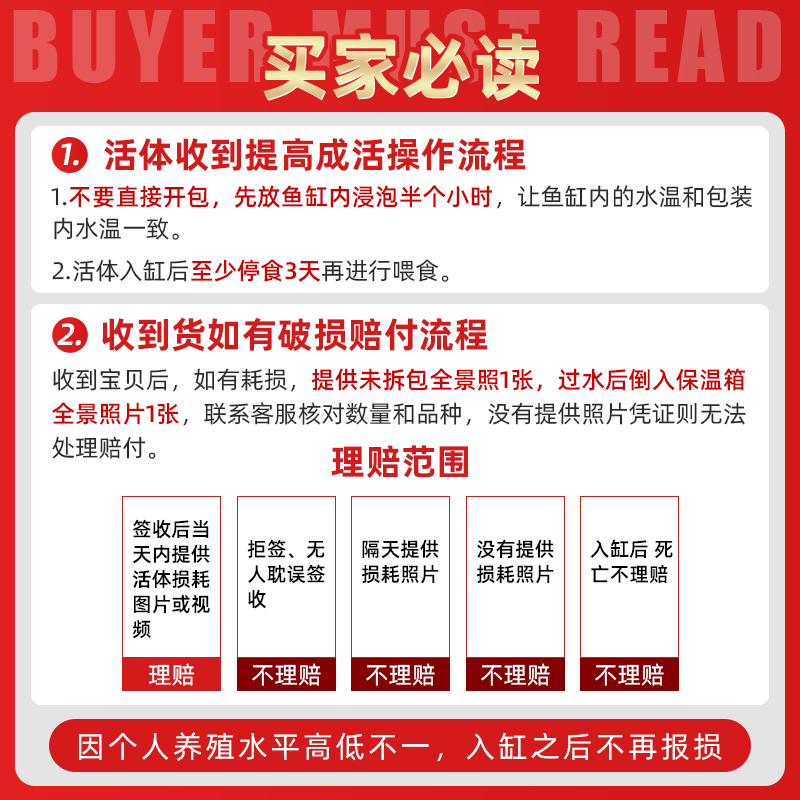 清道夫金苔鼠热带鱼观赏工具鱼清洁鼠鱼鱼缸活体除藻吃垃圾粪便鱼-图1