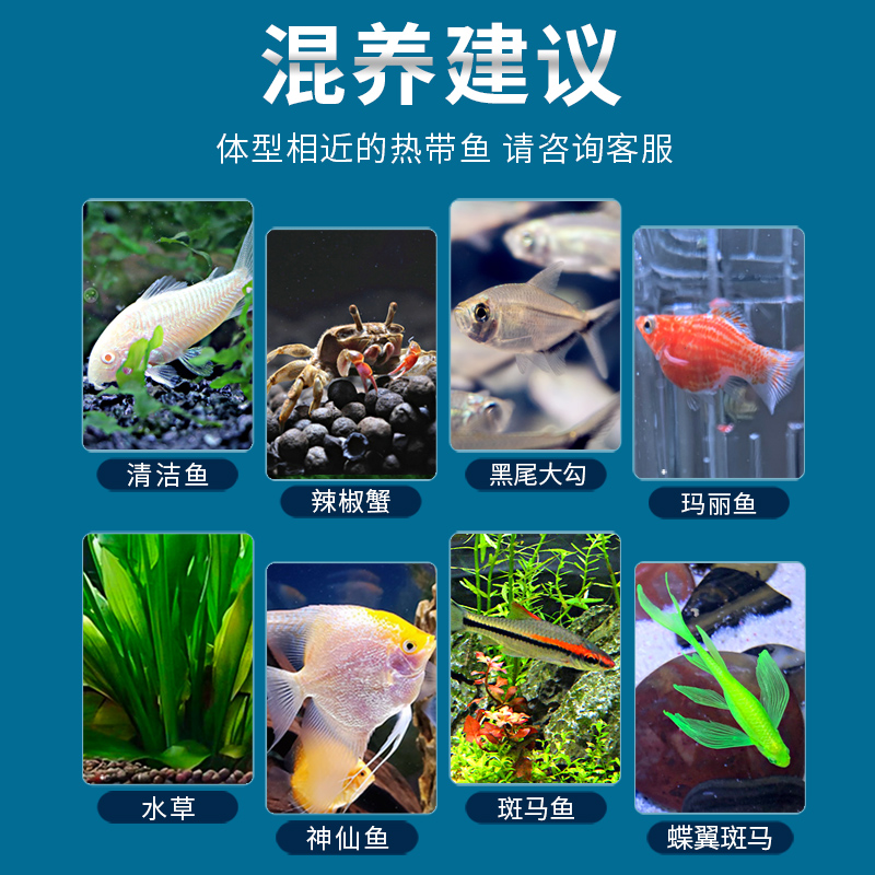 商品详情图片