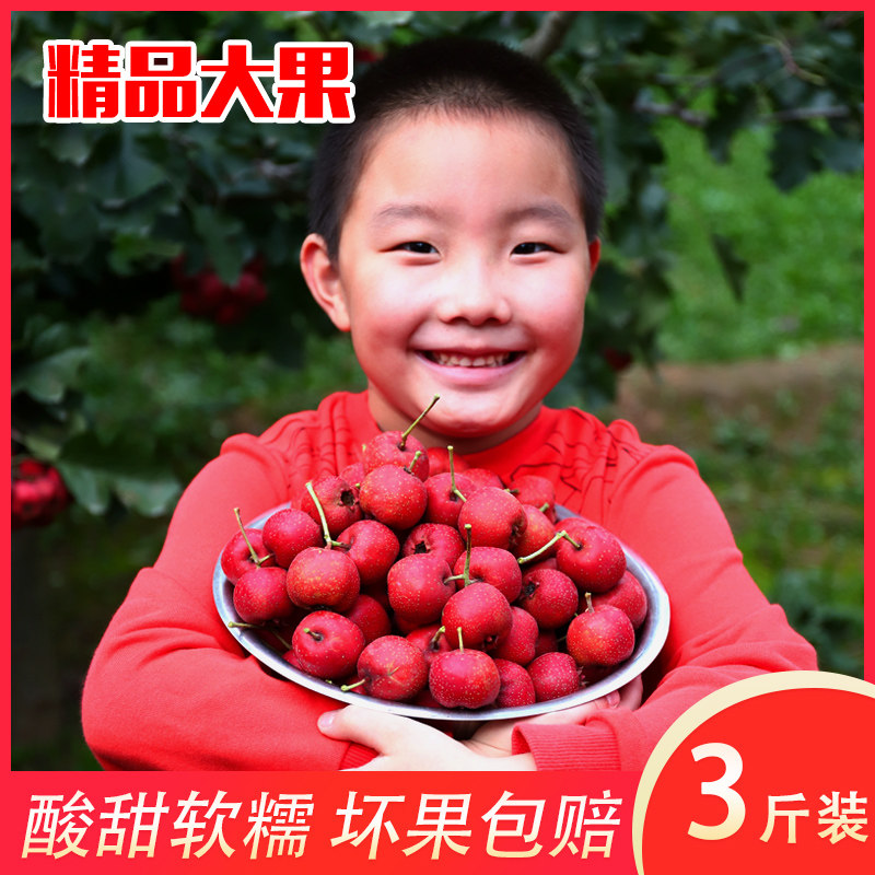 新鲜5斤特级大果碎干片山楂 乐农水果山楂类制品