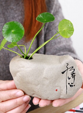 新款摆件无孔水培小花瓶家居装饰摆设花插创意陶瓷插花可定制