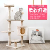 Кошачья стойка