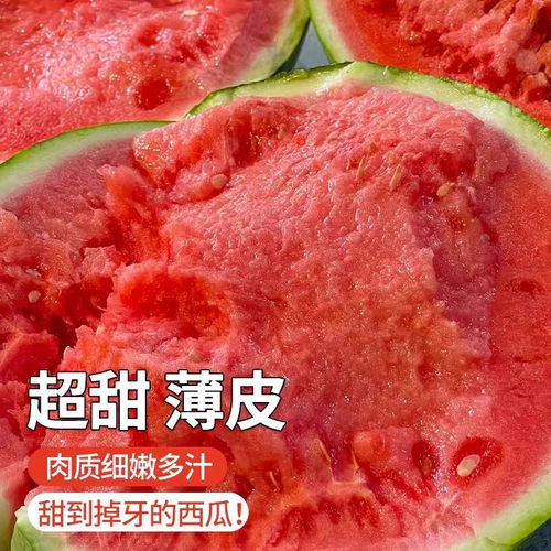 8424冰糖麒麟西瓜苗盆栽早佳懒汉无籽大西瓜秧苗地栽四季阳台苗 - 图3