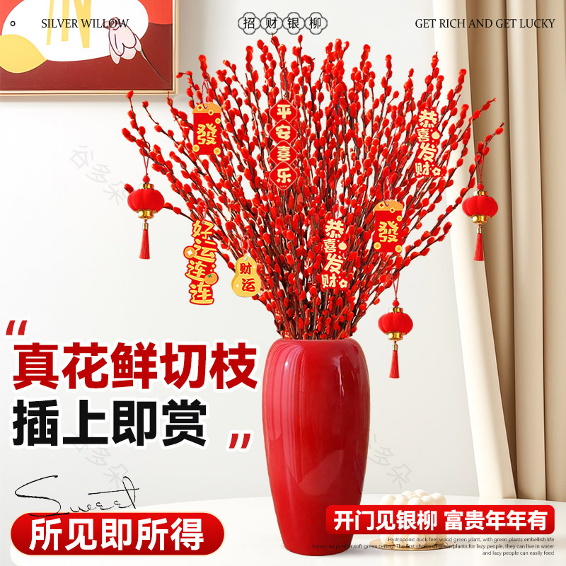 【渠道专享】银柳真花鲜枝干花摆件鲜花绿植物新年宵花卉过年盆栽